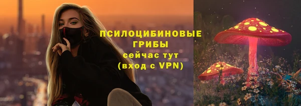 apvp Карталы