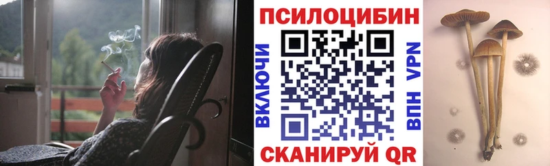 Галлюциногенные грибы мицелий  Купить  Ефремов 