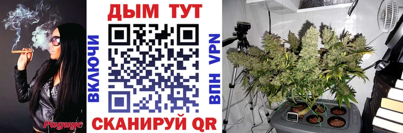 Купить закладки  Ефремов  Конопля Bruce Banner 